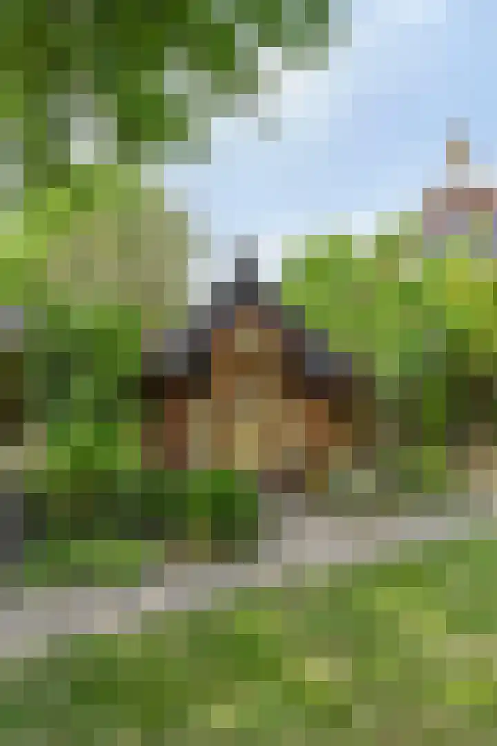 Molstraat 5 Dreischor thumbnail 47