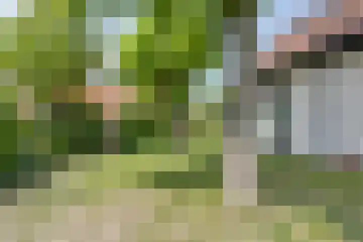 Molstraat 5 Dreischor thumbnail 50