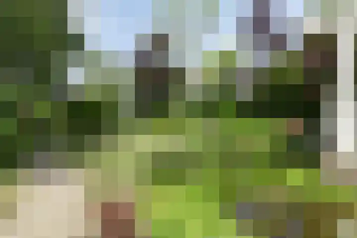 Molstraat 5 Dreischor thumbnail 51