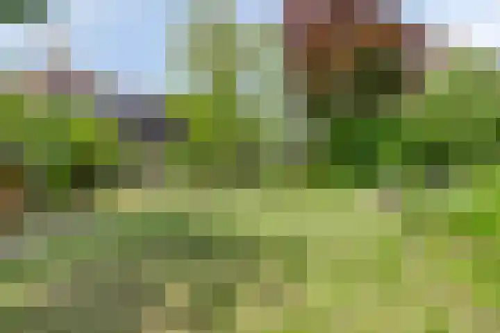 Molstraat 5 Dreischor thumbnail 52