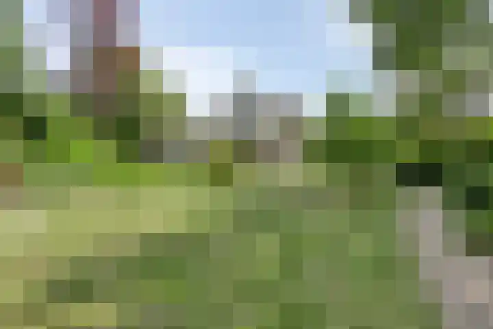 Molstraat 5 Dreischor thumbnail 53