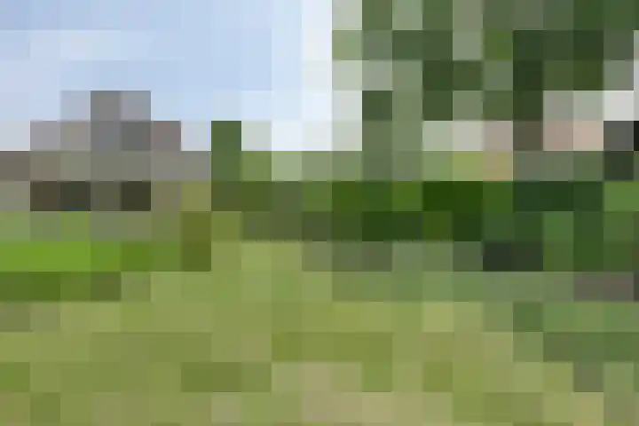 Molstraat 5 Dreischor thumbnail 54