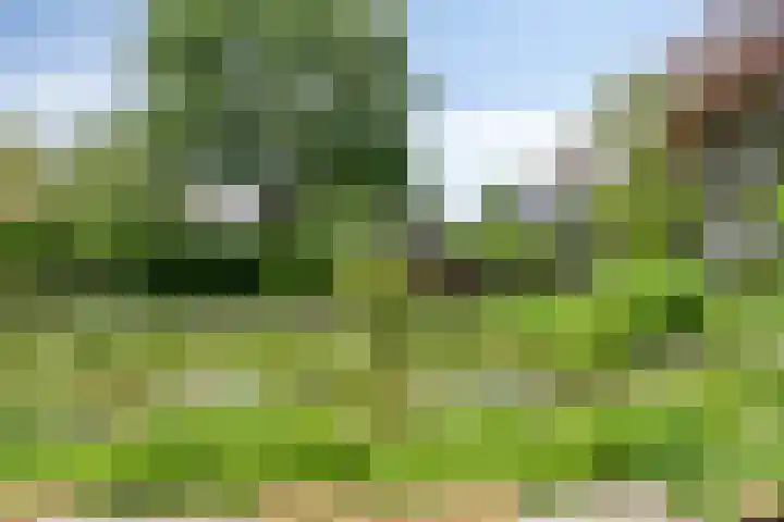 Molstraat 5 Dreischor thumbnail 55