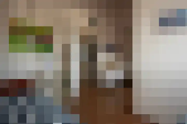 Molstraat 5 Dreischor thumbnail 63
