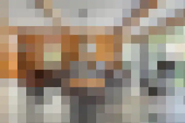 Molstraat 5 Dreischor thumbnail 8