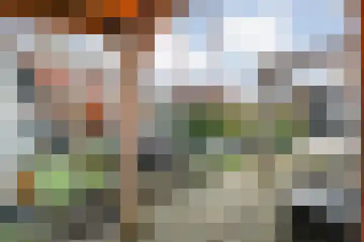 Molstraat 50 Dedemsvaart thumbnail 68