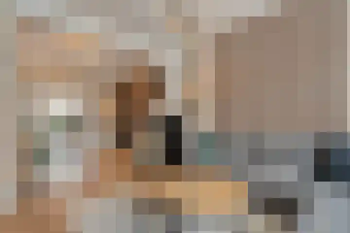 Molstraat 50 Dedemsvaart thumbnail 7