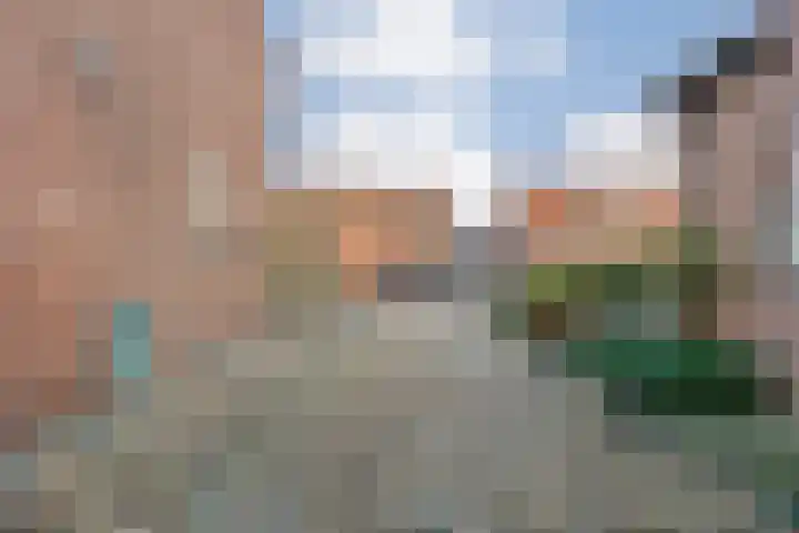 Molstraat 50 Dedemsvaart thumbnail 75