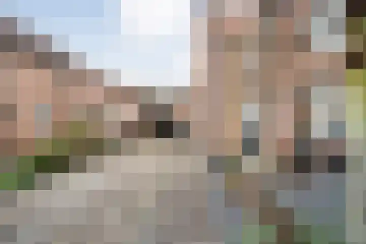 Molstraat 50 Dedemsvaart thumbnail 76