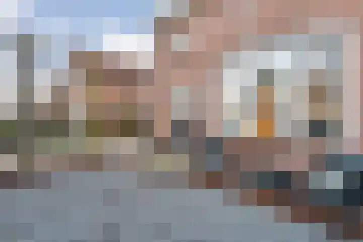 Molstraat 50 Dedemsvaart thumbnail 79