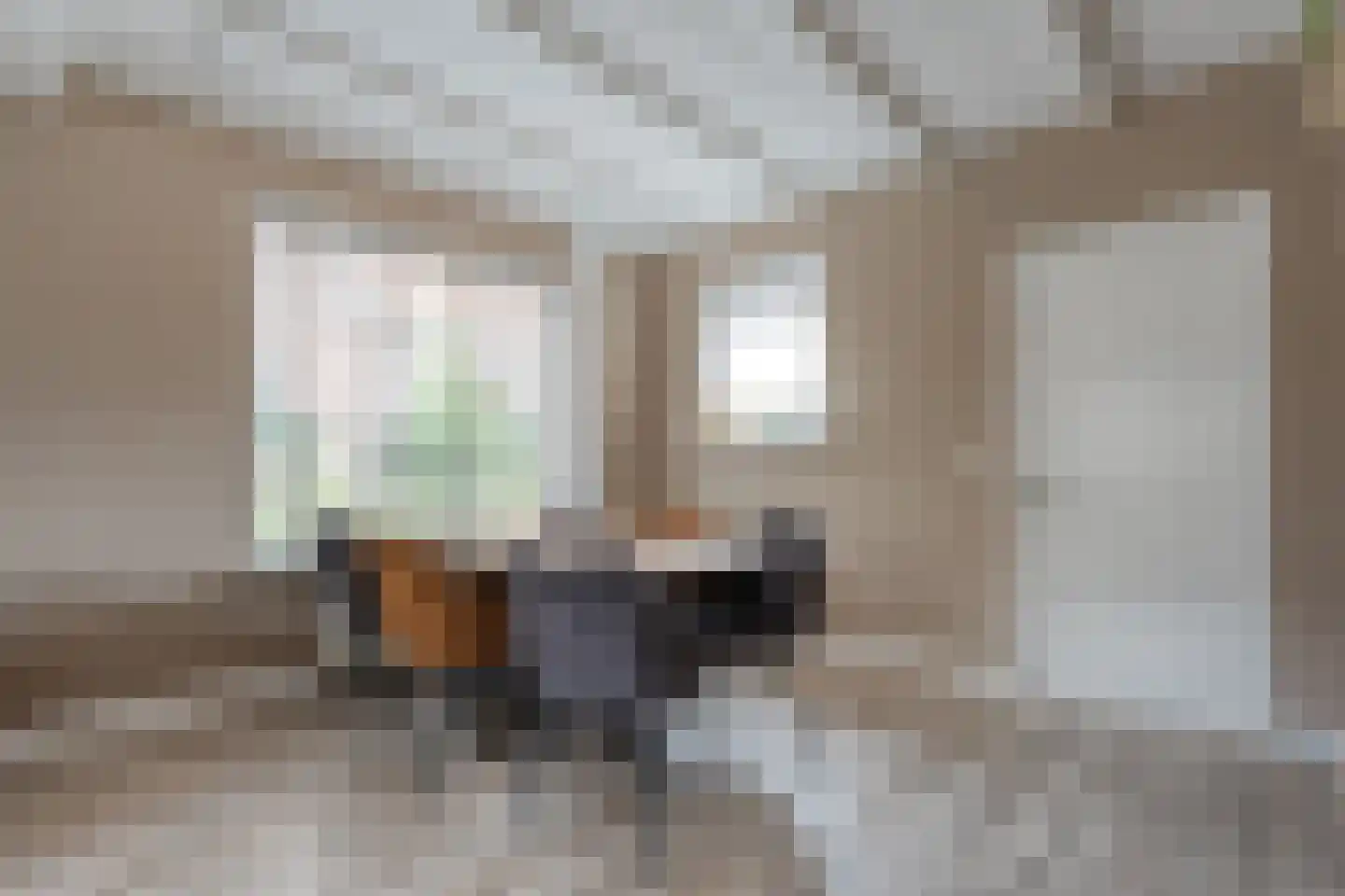 Molstraat 53 Dedemsvaart thumbnail 11