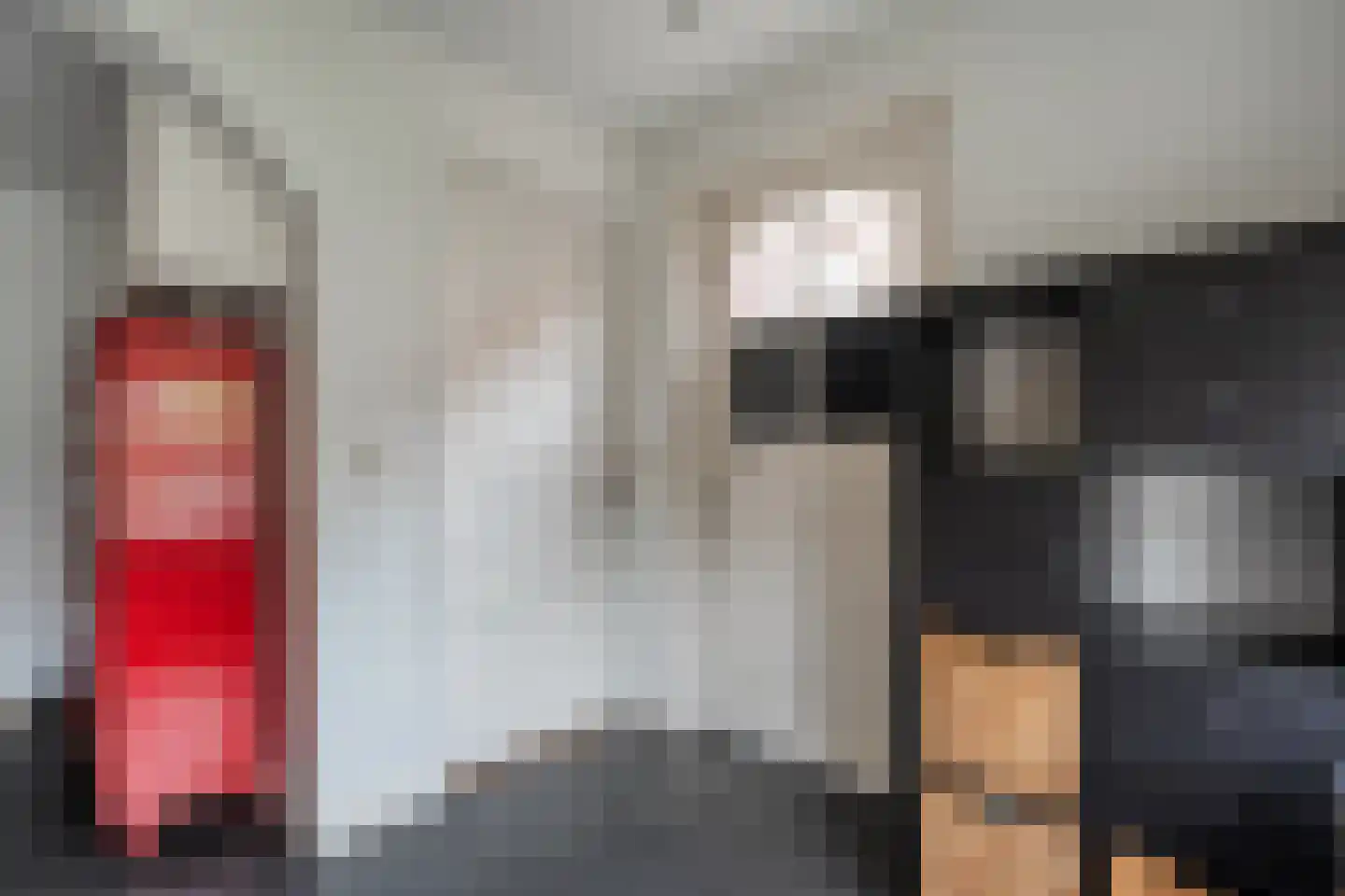 Molstraat 53 Dedemsvaart thumbnail 16