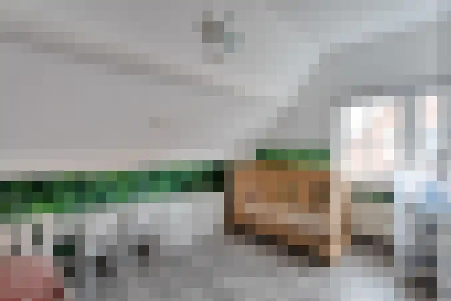 Molstraat 53 Dedemsvaart thumbnail 23