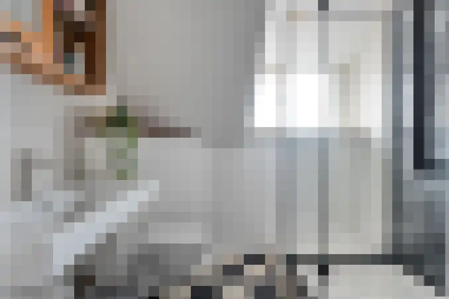 Molstraat 53 Dedemsvaart thumbnail 25