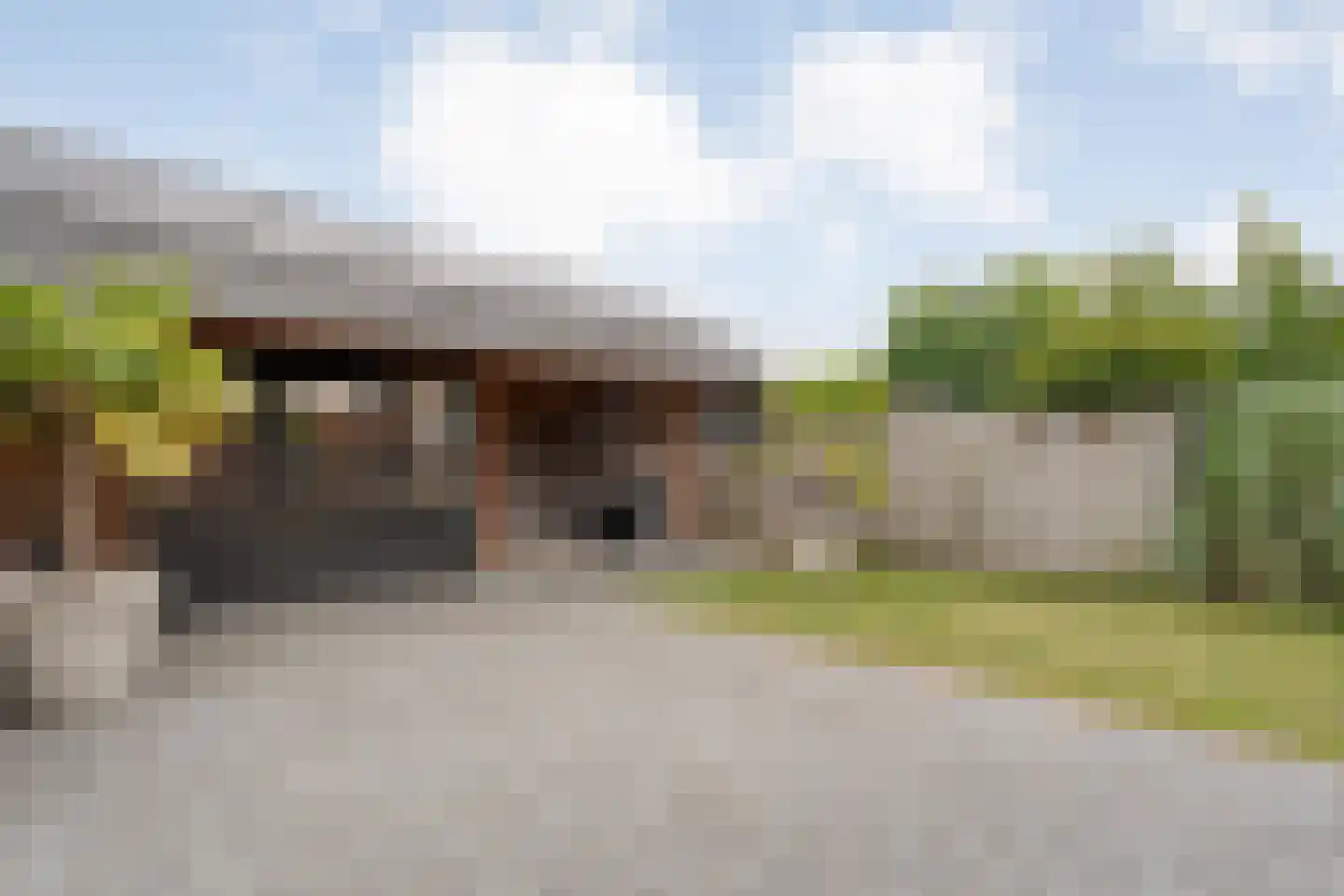 Molstraat 53 Dedemsvaart thumbnail 4