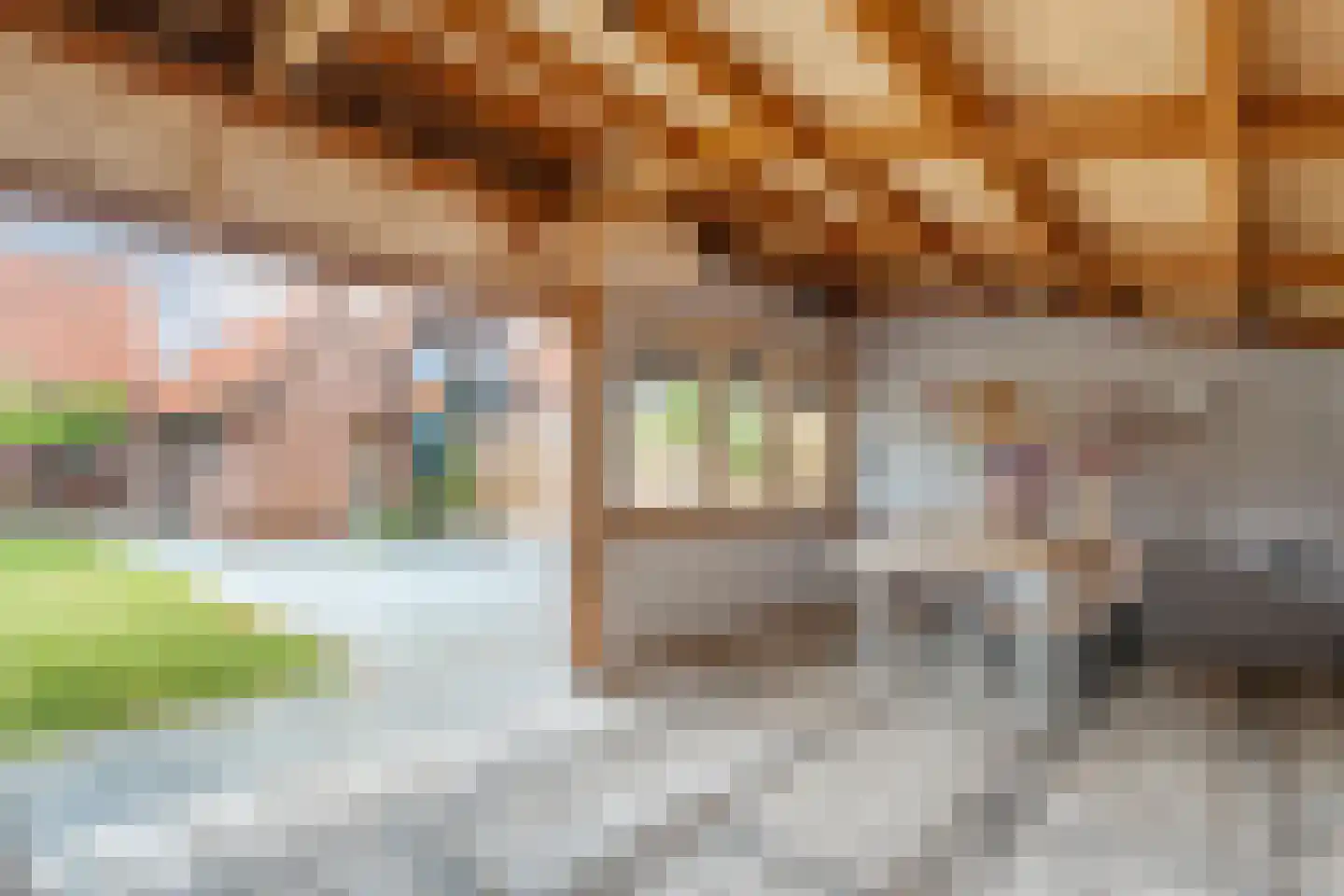 Molstraat 53 Dedemsvaart thumbnail 40