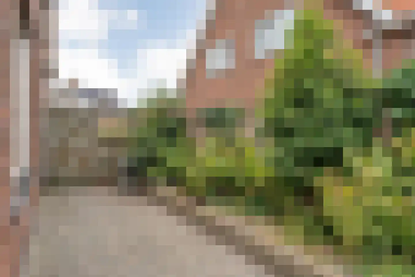 Molstraat 53 Dedemsvaart thumbnail 42