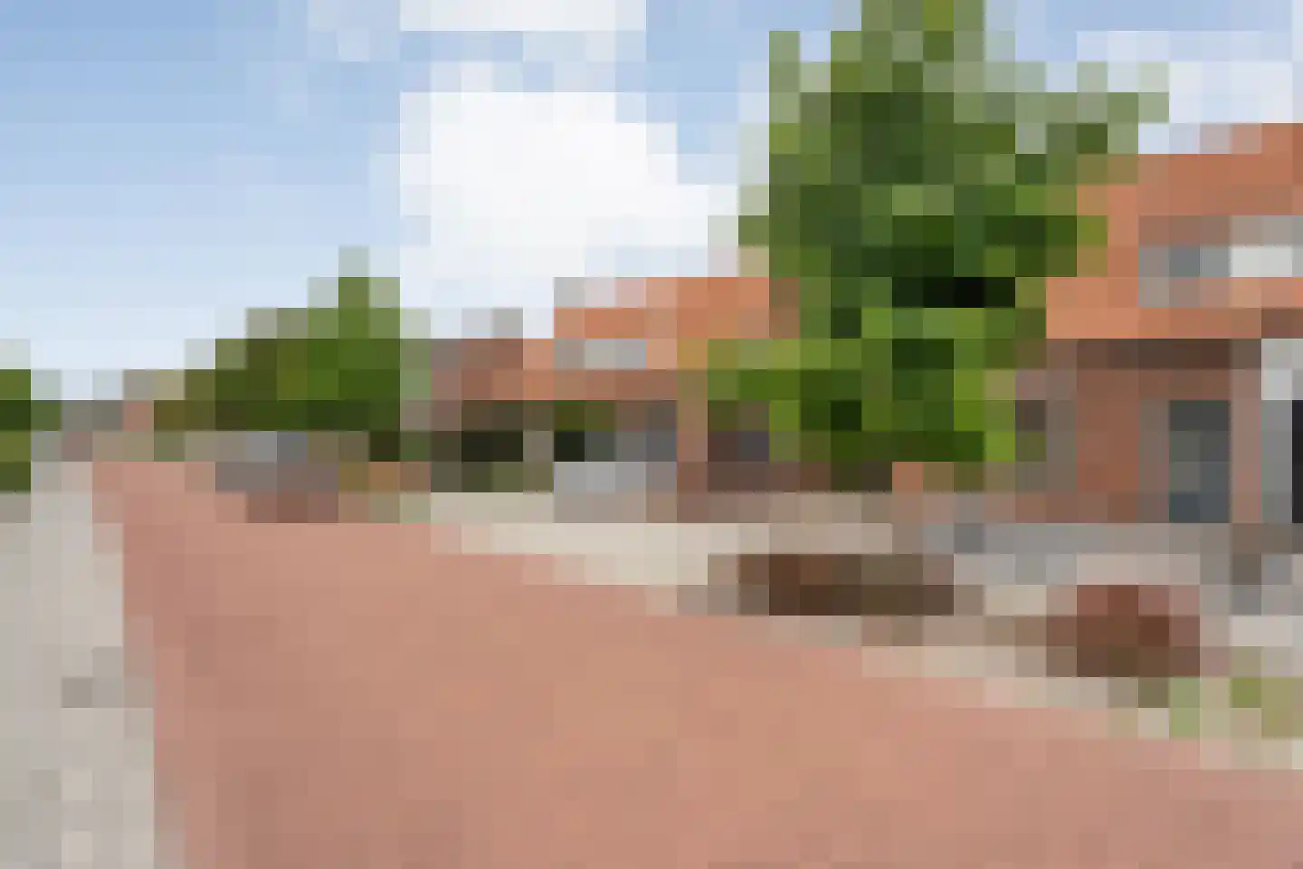 Molstraat 53 Dedemsvaart thumbnail 44