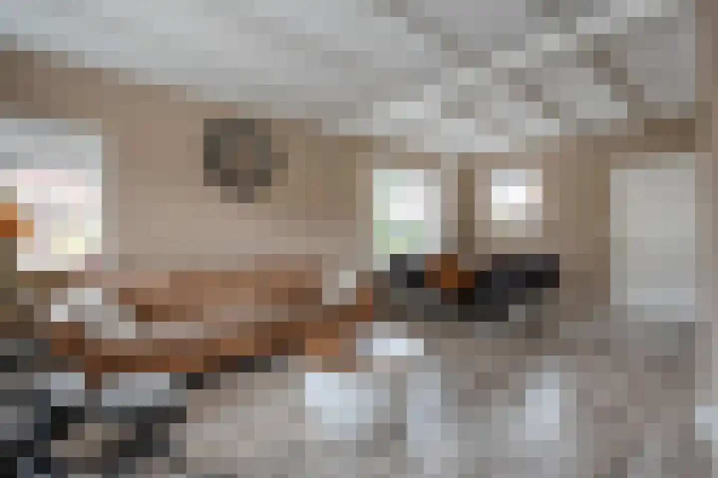 Molstraat 53 Dedemsvaart thumbnail 7