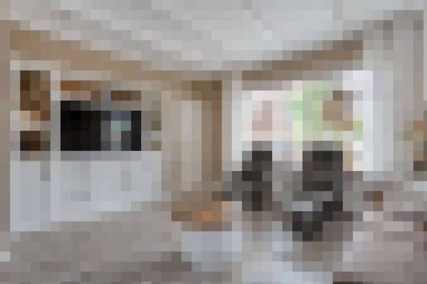 Molstraat 53 Dedemsvaart thumbnail 9