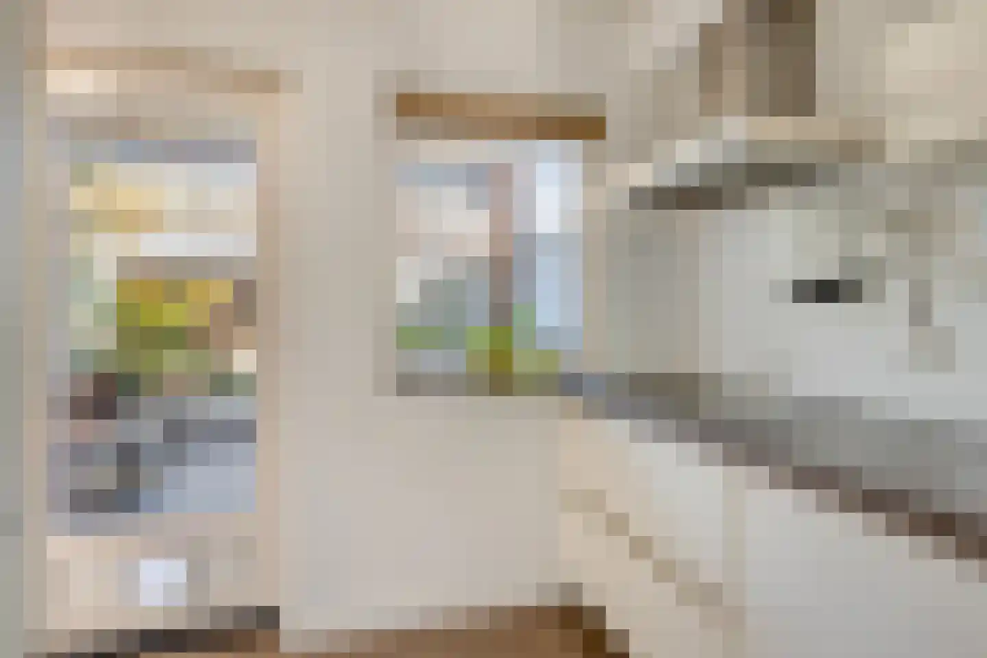 Molstraat 7 Eindhoven thumbnail 22