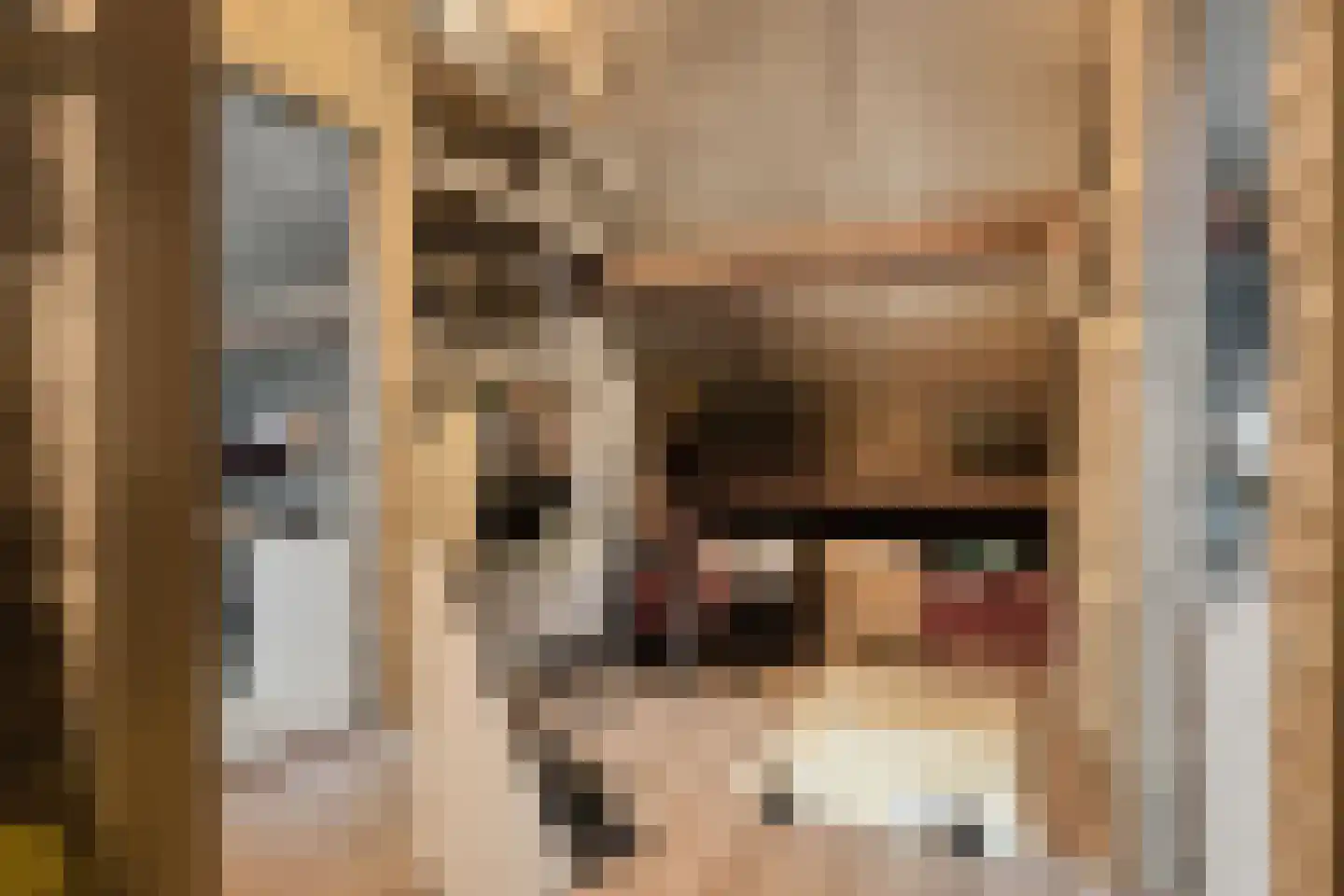 Molstraat 7 Eindhoven thumbnail 32