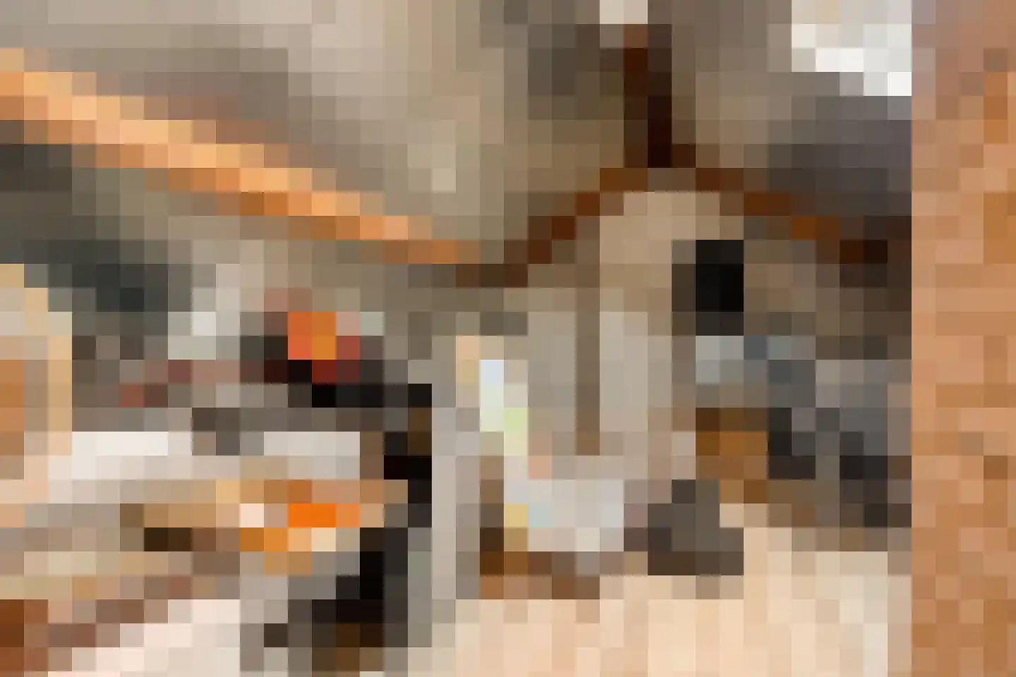 Molstraat 7 Eindhoven thumbnail 33