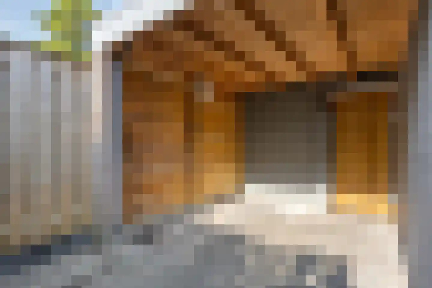 Molstraat 7 Eindhoven thumbnail 42