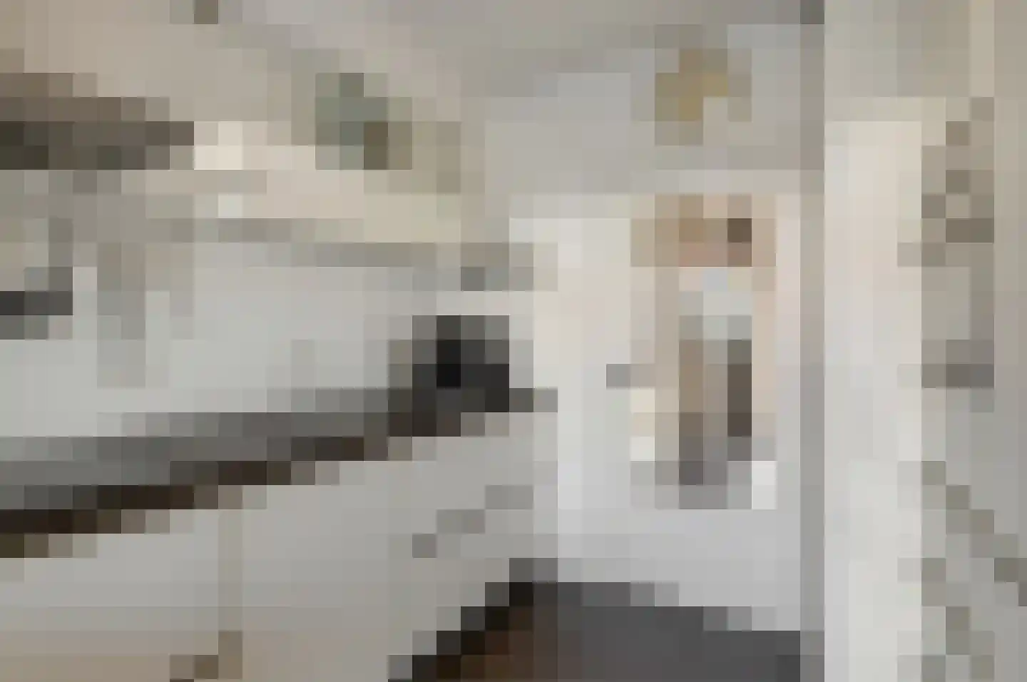 Molstraat 7 Eindhoven thumbnail 5