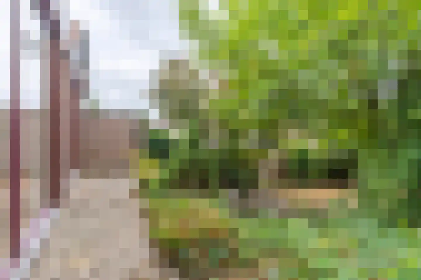 Molt 28 Simpelveld thumbnail 20
