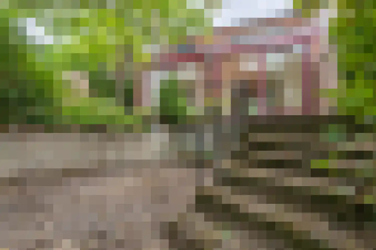 Molt 28 Simpelveld thumbnail 21