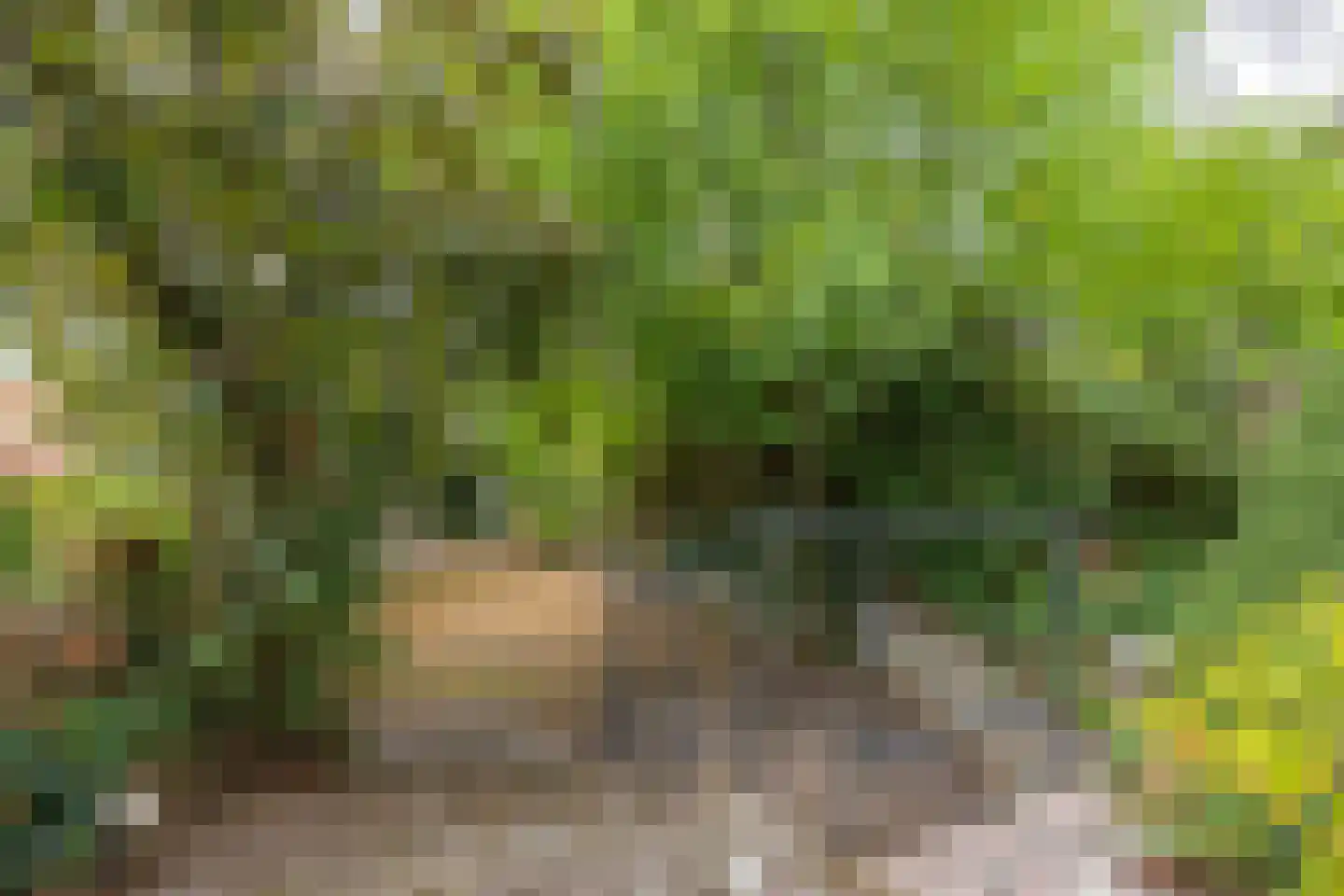 Molt 28 Simpelveld thumbnail 22