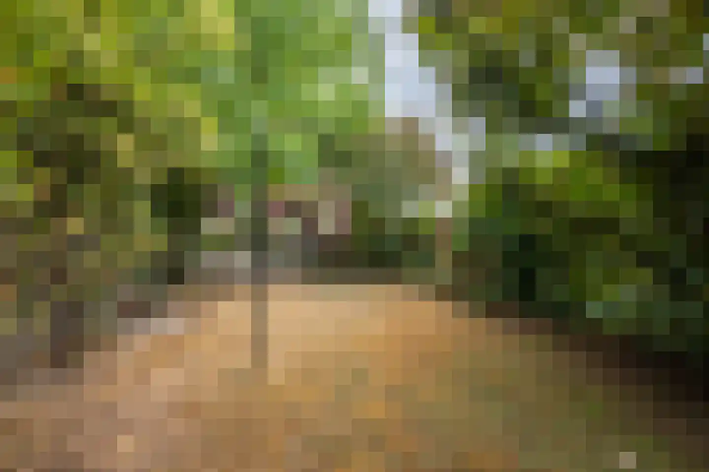Molt 28 Simpelveld thumbnail 23