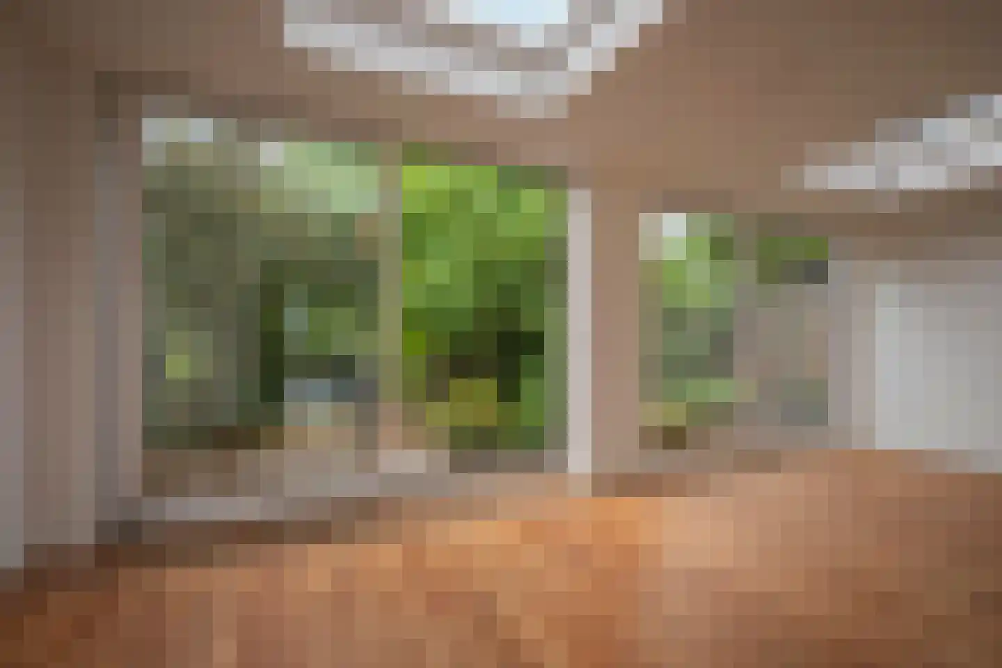 Molt 28 Simpelveld thumbnail 9