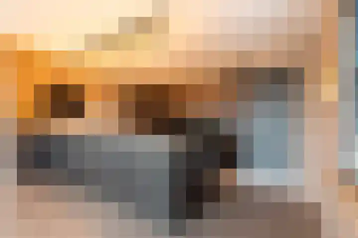Molt 6 Simpelveld thumbnail 13
