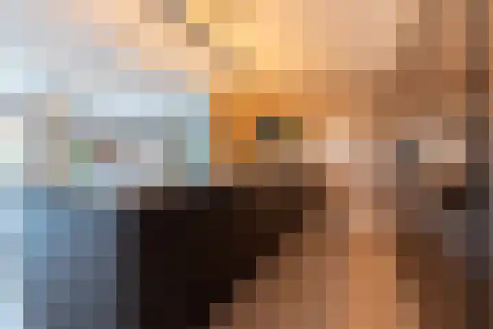 Molt 6 Simpelveld thumbnail 14
