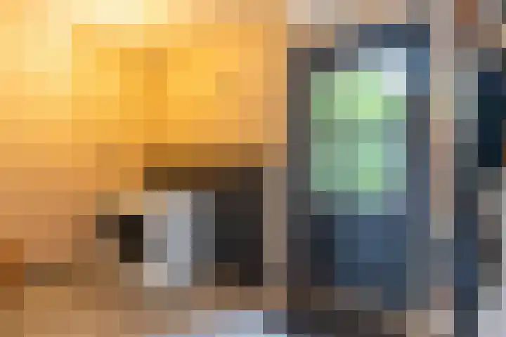 Molt 6 Simpelveld thumbnail 15