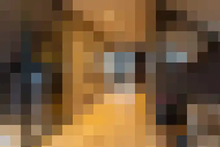 Molt 6 Simpelveld thumbnail 16