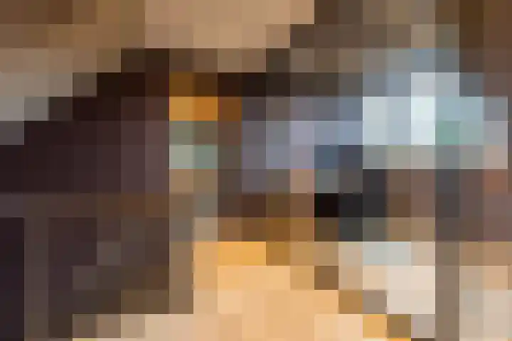 Molt 6 Simpelveld thumbnail 17