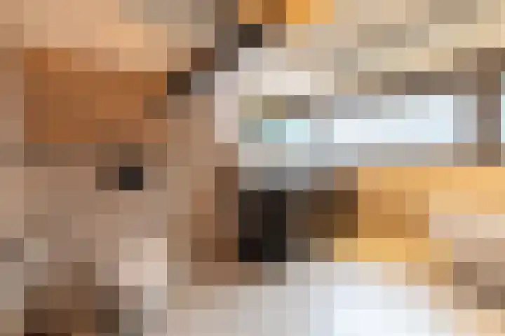 Molt 6 Simpelveld thumbnail 18