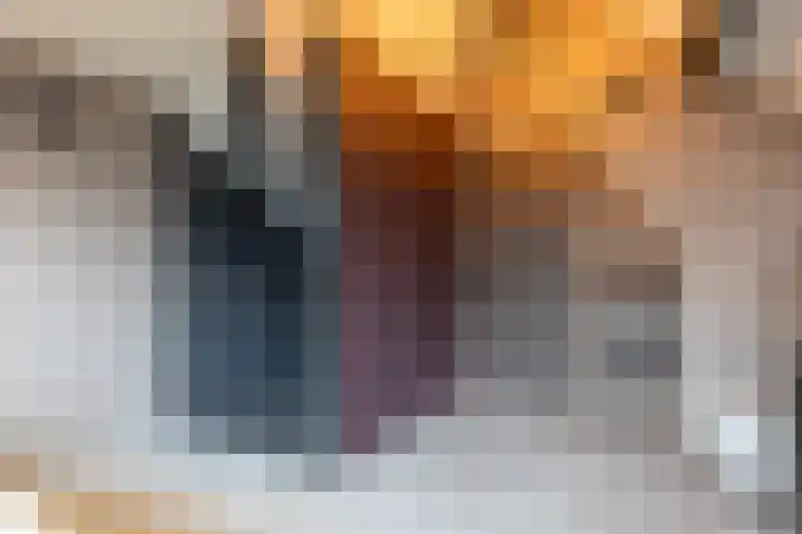 Molt 6 Simpelveld thumbnail 21