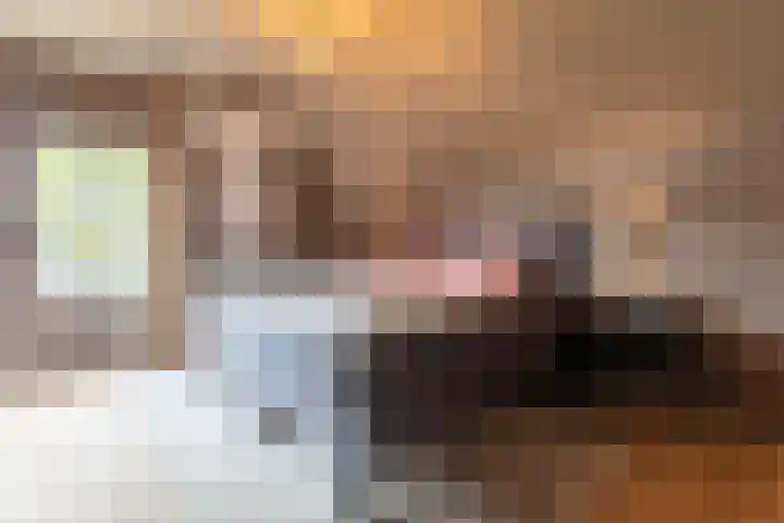 Molt 6 Simpelveld thumbnail 27