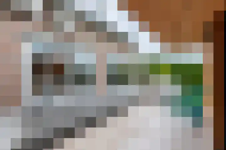 Molt 6 Simpelveld thumbnail 34