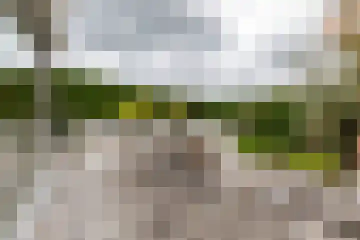 Molt 6 Simpelveld thumbnail 35