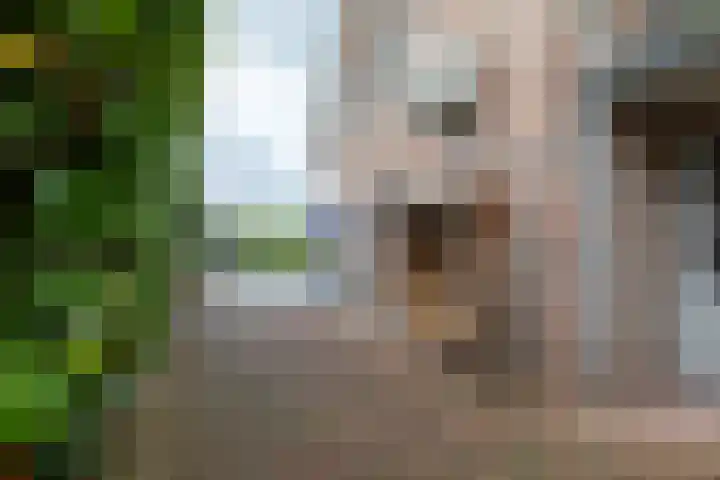 Molt 6 Simpelveld thumbnail 36