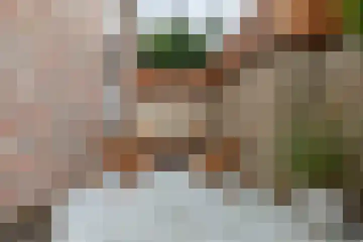 Molt 6 Simpelveld thumbnail 38