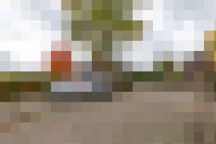 Molt 6 Simpelveld thumbnail 43