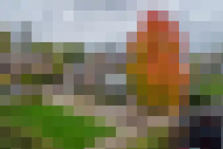Molt 6 Simpelveld thumbnail 44