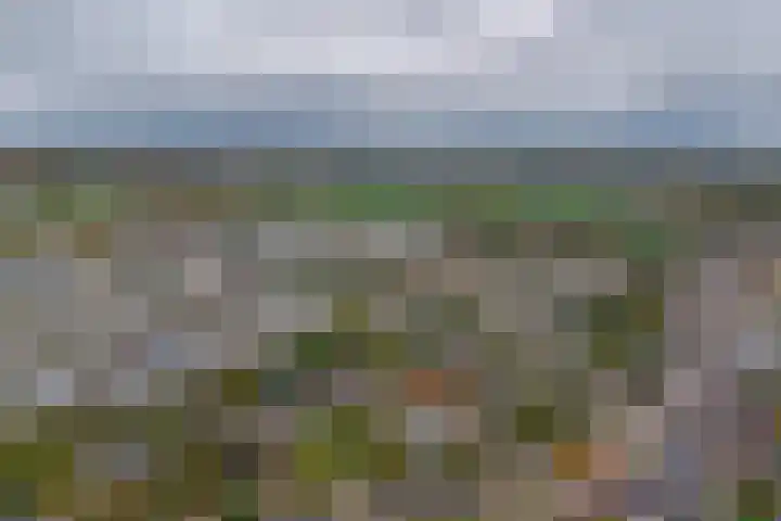 Molt 6 Simpelveld thumbnail 47