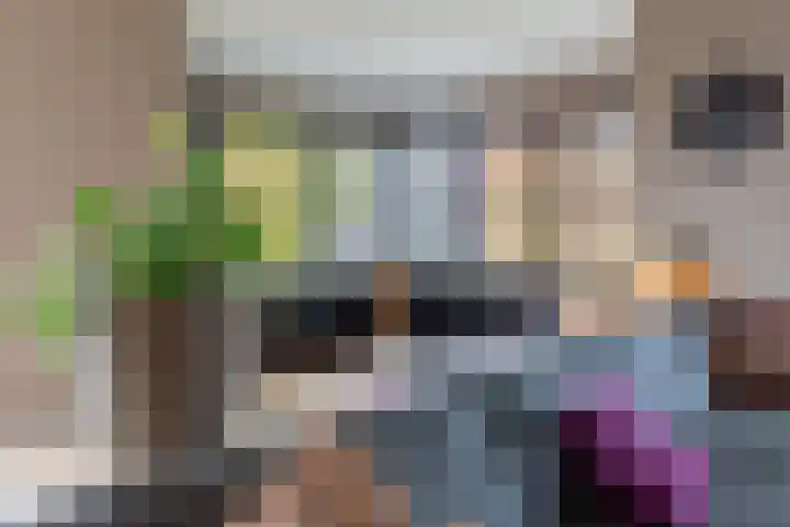 Molt 6 Simpelveld thumbnail 7